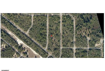 Locust Ter Trail Ocala FL 34472