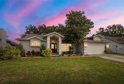 5452 Los Palos Drive New Port Richey FL 34655