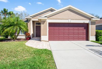 11611 Mountain Bay Drive Riverview FL 33569
