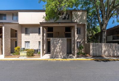 7505 Pitch Pine Circle Tampa FL 33617