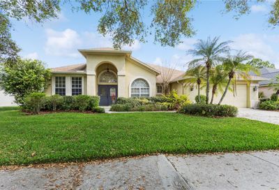 3518 Shadowood Drive Valrico FL 33596