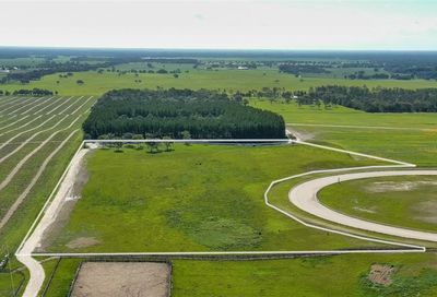 Lot 14 NE 120th Avenue Williston FL 32696