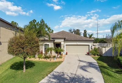 11632 Palmetto Pine Street Riverview FL 33569