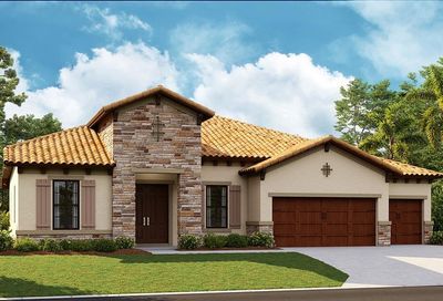 102 Mossy River Court Brandon FL 33511