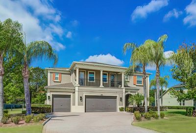 17822 Daisy Farm Drive Lutz FL 33559