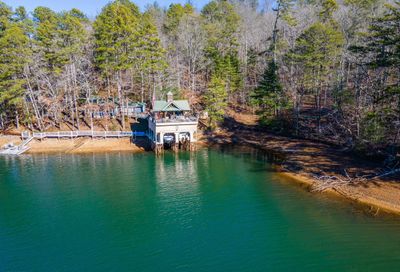 234 Perrin Cove Road Tiger GA 30576
