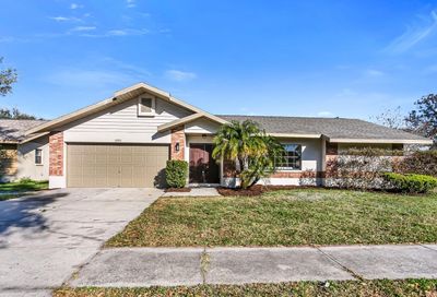 12912 Astorwood Place Riverview FL 33579