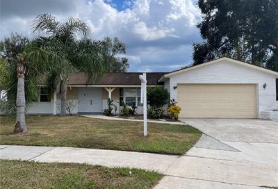 731 Sailfish Drive Brandon FL 33511