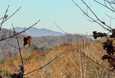 10 Clear Fork Lane Fairview NC 28730