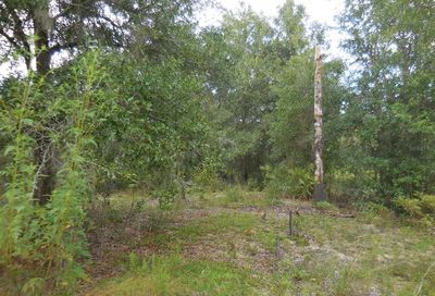 00 NE 107th Terrace Archer FL 32618