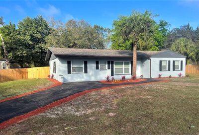 9161 Royal Palm Avenue New Port Richey FL 34654