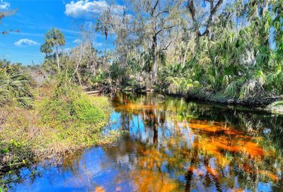 12620 Amber Lane Lithia FL 33547