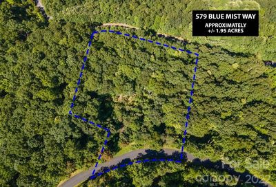 579 Blue Mist Way Arden NC 28704