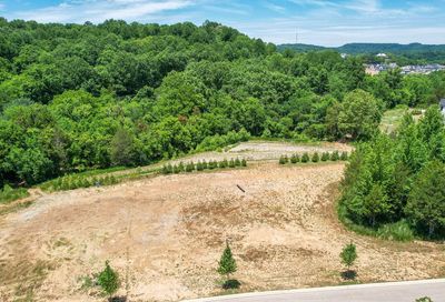 8905 Dovetail Ct College Grove TN 37046