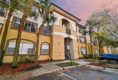 17104 Carrington Park Drive Tampa FL 33647