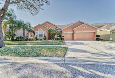 2503 Yukon Cliff Drive Ruskin FL 33570