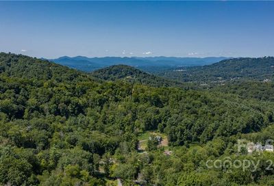 55 Bartrams Walk Drive Asheville NC 28804