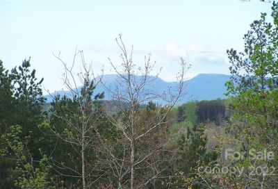 Tract 7 County Line Road Mill Spring NC 28756