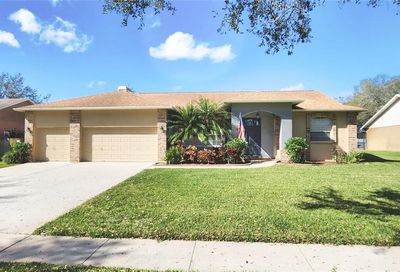 2708 Bent Leaf Drive Valrico FL 33594