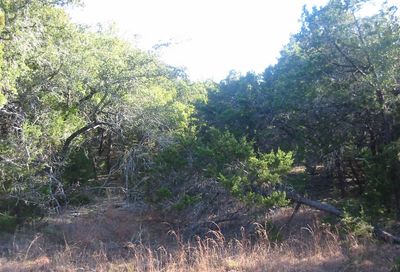 9604 Sisk Lane Dripping Springs TX 78620