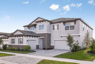 12829 Tortoise Shell Place Riverview FL 33579