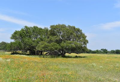 Tbd County Road 253 Bertram TX 78605