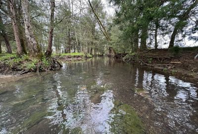 Wright Rd Lot # 6 Chapel Hill TN 37034