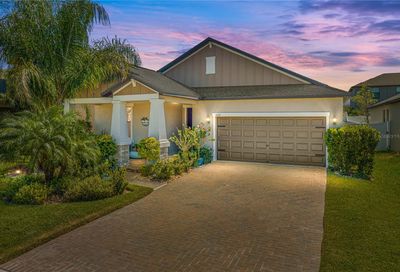 13245 Satin Lily Drive Riverview FL 33579