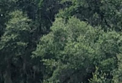 Lot 9 Locust Course Ocala FL 34472
