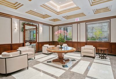 132 E Delaware Place Chicago IL 60611