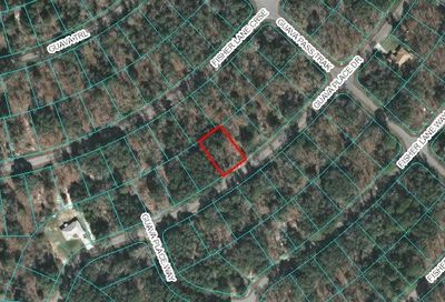 00 Guava Place Drive Ocklawaha FL 32179