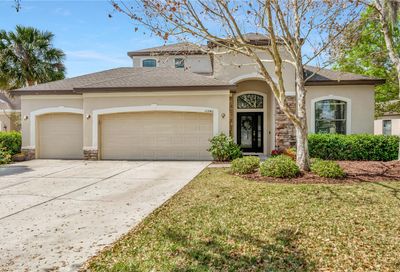 11240 Wembley Landing Drive Lithia FL 33547