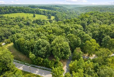 Shoals Branch Road, Tract 1 Primm Springs TN 38476