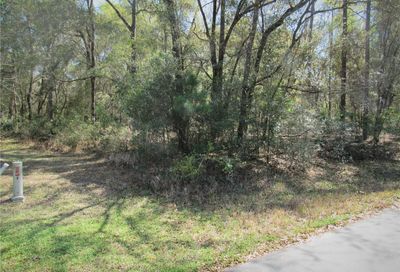 0000 SW 188 Circle Dunnellon FL 34432