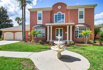 10323 Carroll Cove Place Tampa FL 33612