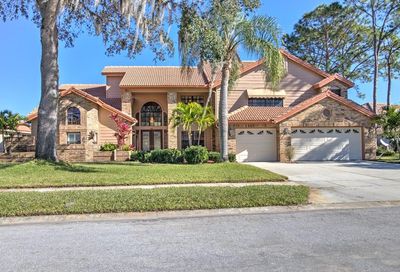 50 Turtle Creek Circle Oldsmar FL 34677