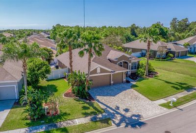 2504 Bay Field Court Holiday FL 34691