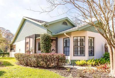 11629 Rose Tree Drive New Port Richey FL 34654