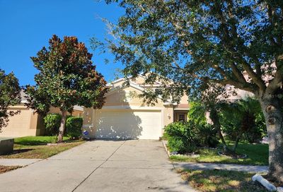 11527 Hammocks Glade Drive Riverview FL 33569