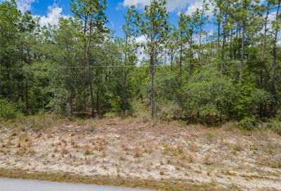 Lot 29 SW Edgewater Boulevard Dunnellon FL 34431