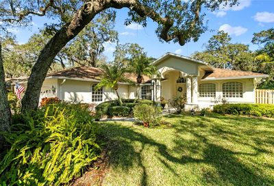 963 Ridgewood Terrace Tarpon Springs FL 34689