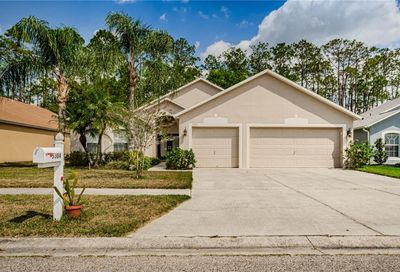 5304 Braddock Drive Zephyrhills FL 33541