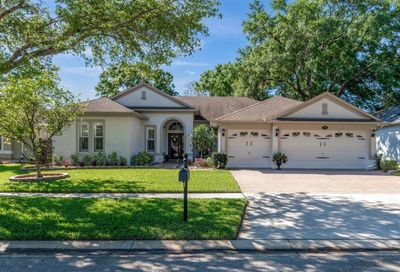 3825 Misty Landing Drive Valrico FL 33594