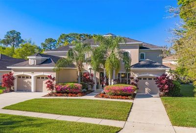 5116 Abisher Wood Lane Brandon FL 33511