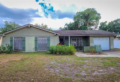 3118 W Paris Street Tampa FL 33614