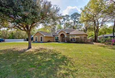 30676 Prestwick Avenue Sorrento FL 32776