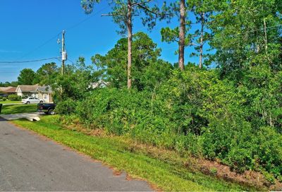 15 Renmont Place Palm Coast FL 32164