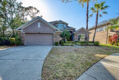 11602 Renaissance View Court Tampa FL 33626