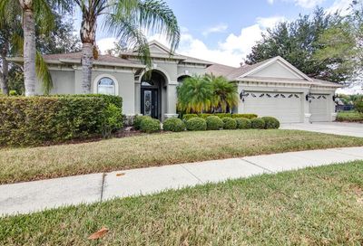 3135 Marble Crest Drive Land O Lakes FL 34638