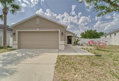 7510 Forest Mere Drive Riverview FL 33578